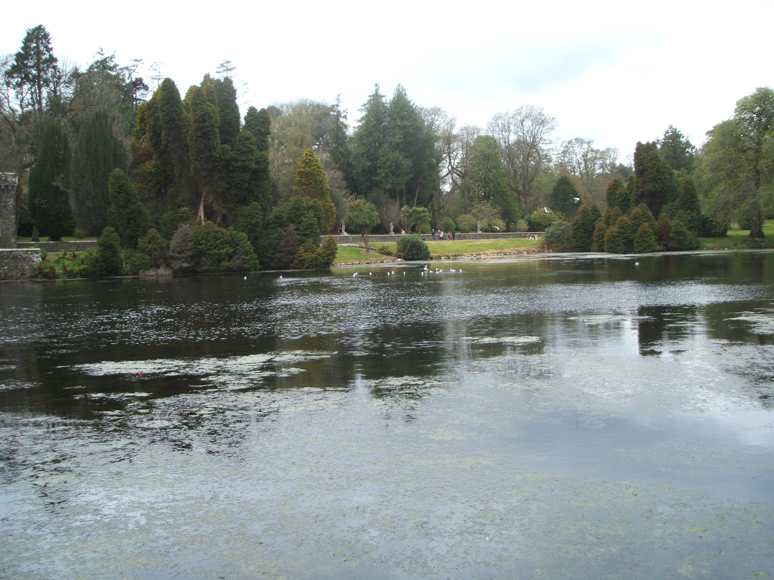 Cottages and outside views 017.jpg